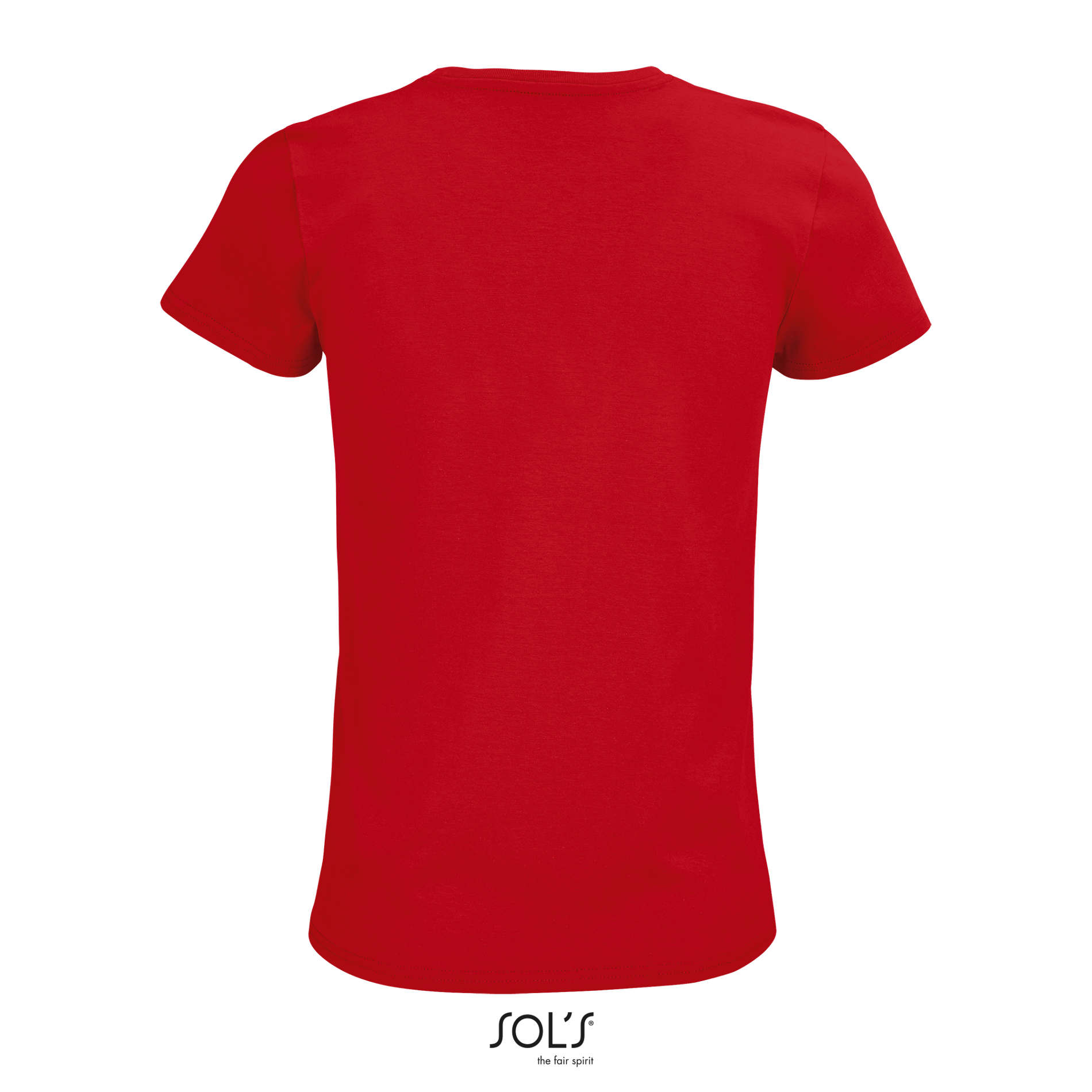 PIONEER WOMEN - immagine 21