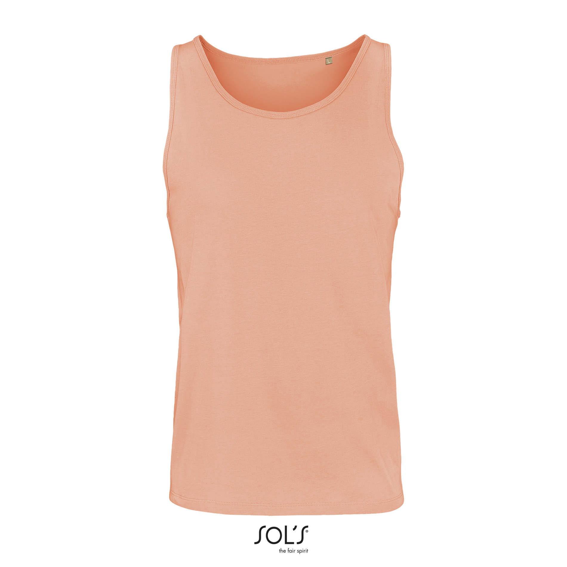 CRUSADER TT - immagine 17