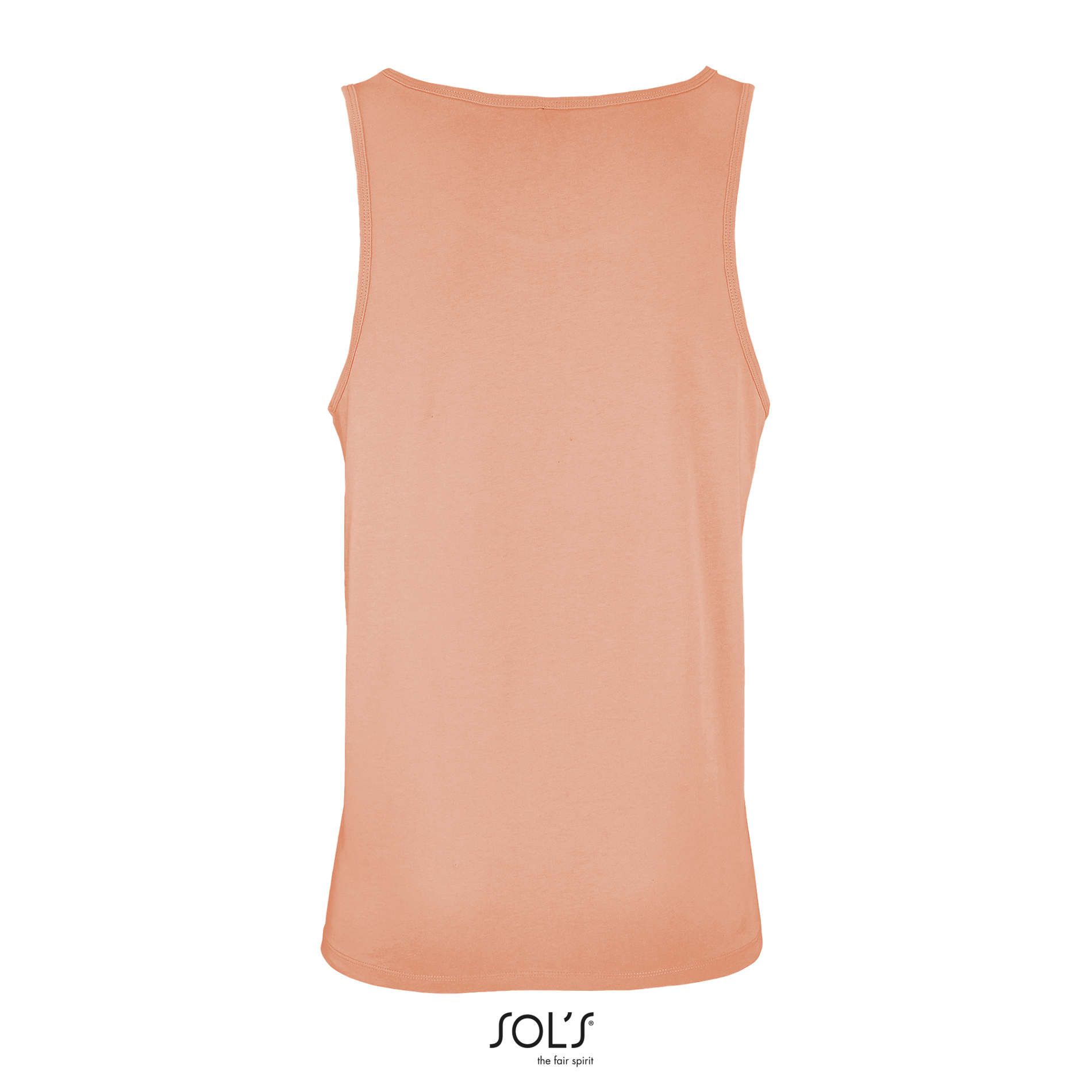 CRUSADER TT - immagine 18