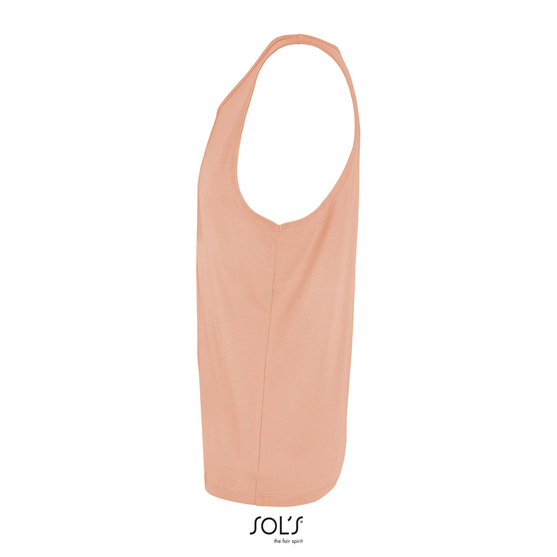 CRUSADER TT - immagine 19